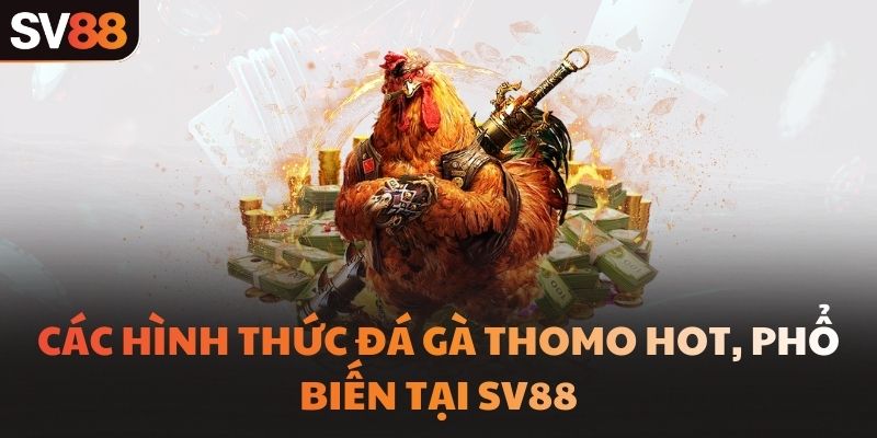 Các hình thức đá gà Thomo hot, phổ biến tại SV88