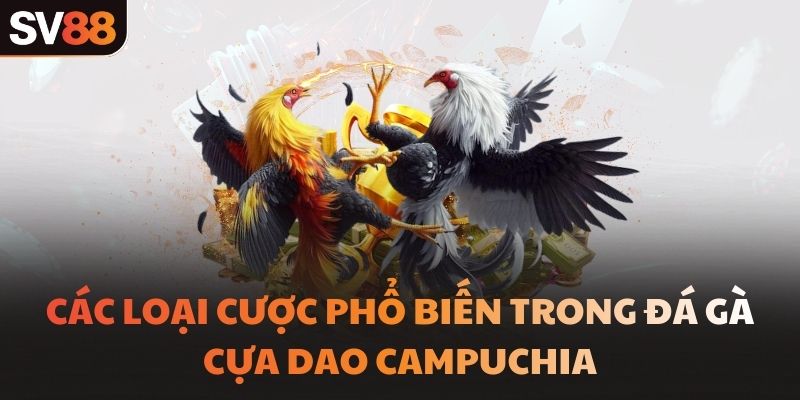 Các loại cược phổ biến trong đá gà cựa dao Campuchia