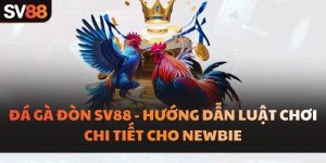 Đá Gà Đòn SV88 - Hướng Dẫn Luật Chơi Chi Tiết Cho Newbie