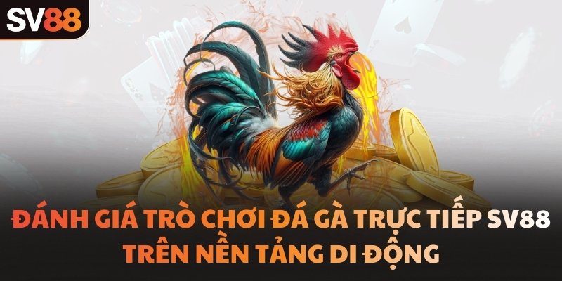 Đánh giá trò chơi đá gà trực tiếp SV88 trên nền tảng di động