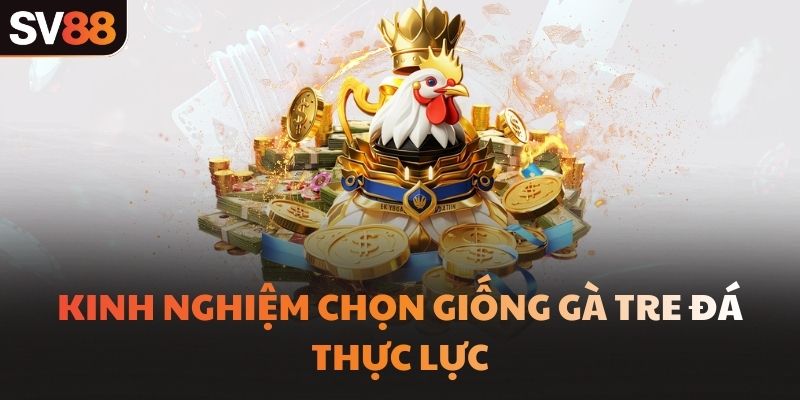 Kinh nghiệm chọn giống gà tre đá thực lực