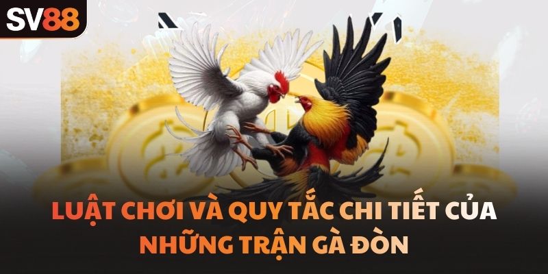 Luật chơi và quy tắc chi tiết của những trận gà đòn