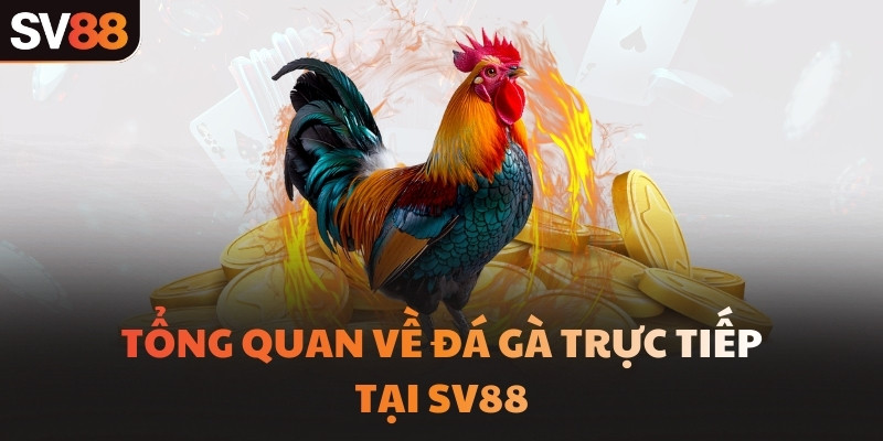 Tổng quan về hình thức đá gà cựa sắt tại SV88